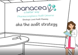 button 1 - pv audits training videos